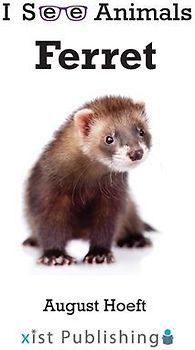 Ferret