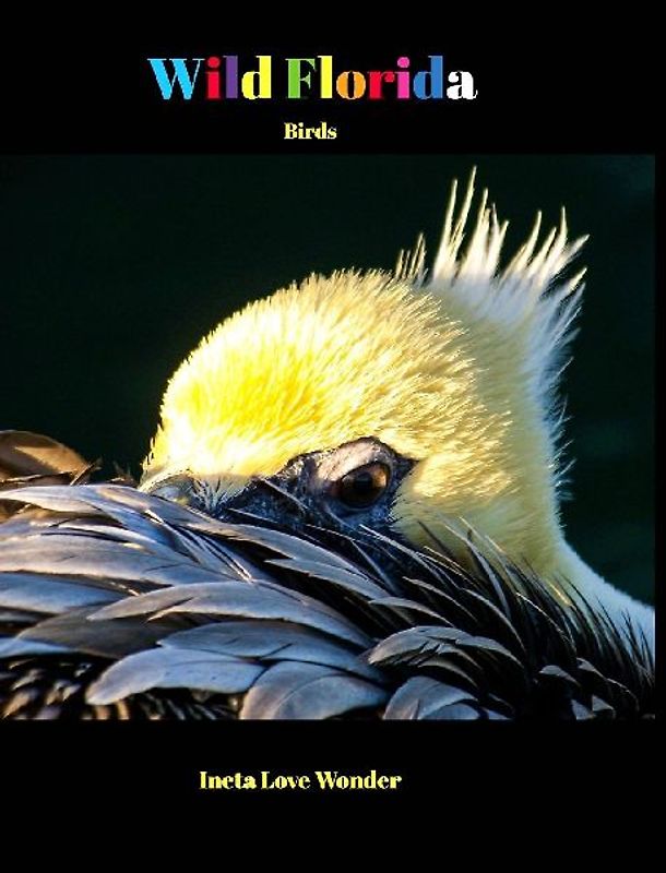 Wild Florida