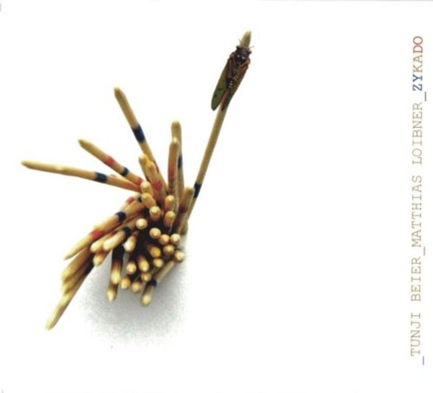 Matthias Loibner - Zykado