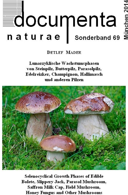 Lunarzyklische Wachstumsphasen von Steinpilz, Butterpilz, Parasolpilz, Edelreizker, Champignon, Hallimasch und anderen Pilzen