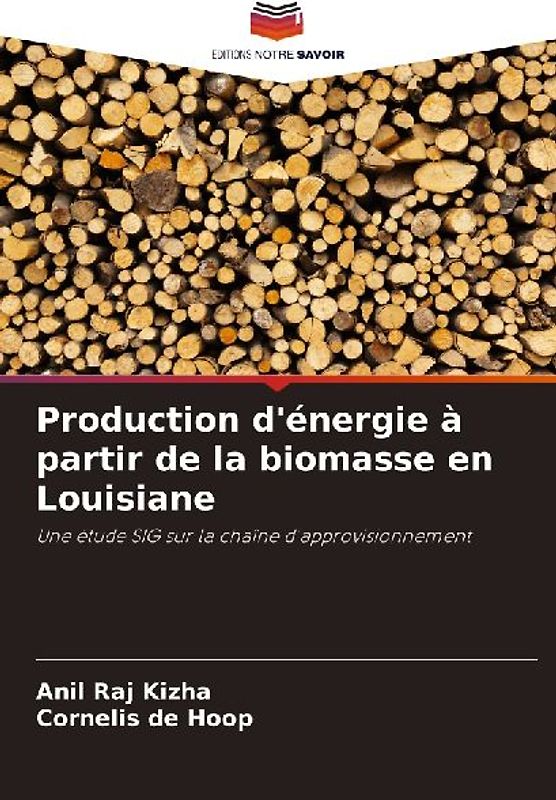 Production d'énergie à partir de la biomasse en Louisiane