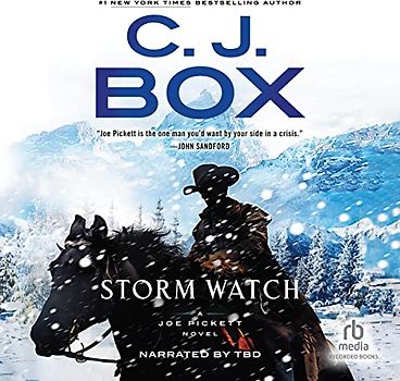 Storm Watch (Joe Pickett, 23)