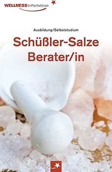 Ratgeber Schüßler-Salze-Berater/in: Professionelles Selbststudium mit vielen Bildern & Tipps