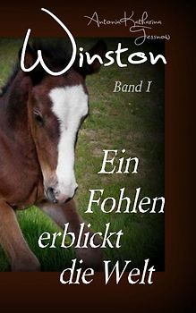 Winston - Ein Fohlen erblickt die Welt