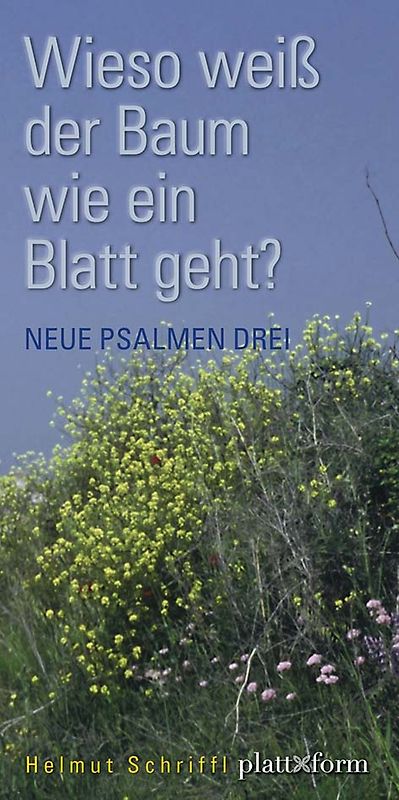 Wieso weiß der Baum wie ein Blatt geht?
