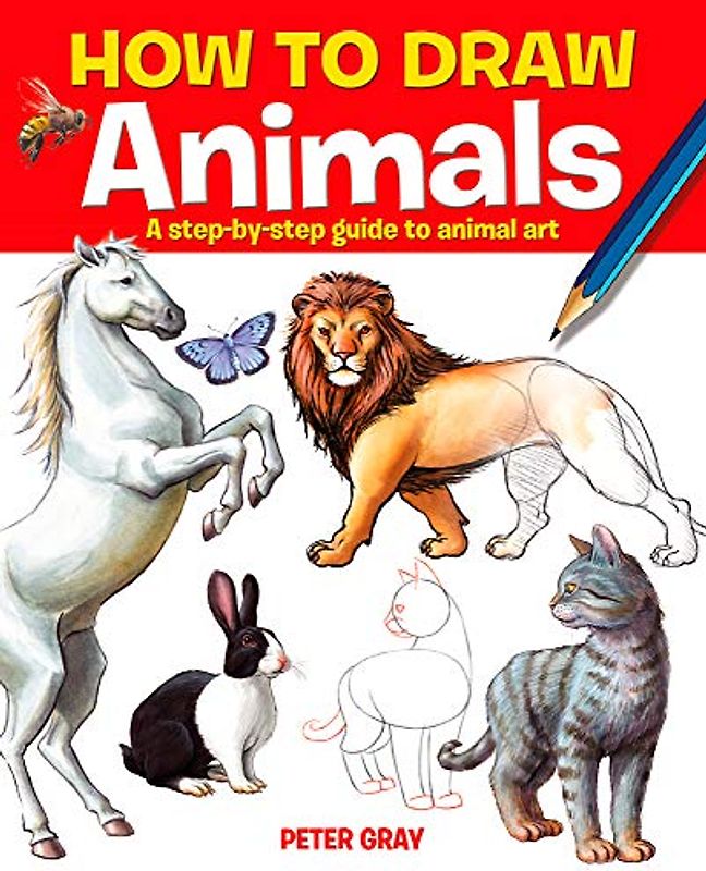How to Draw Animals