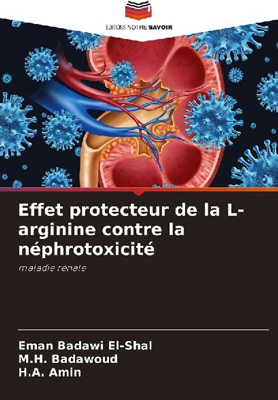 Effet protecteur de la L-arginine contre la néphrotoxicité