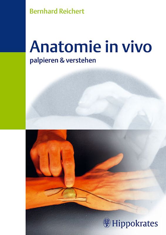 Anatomie in vivo. Palpieren & verstehen