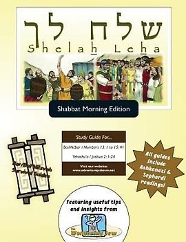 Bar/Bat Mitzvah Survival Guides: Shelah Leha (Shabbat am)