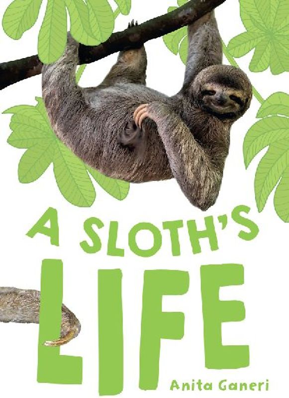 A Sloth's Life