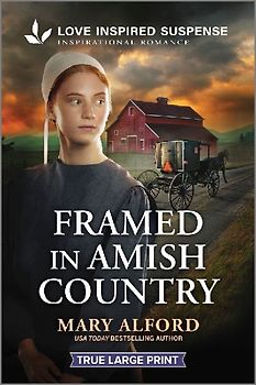 Framed in Amish Country