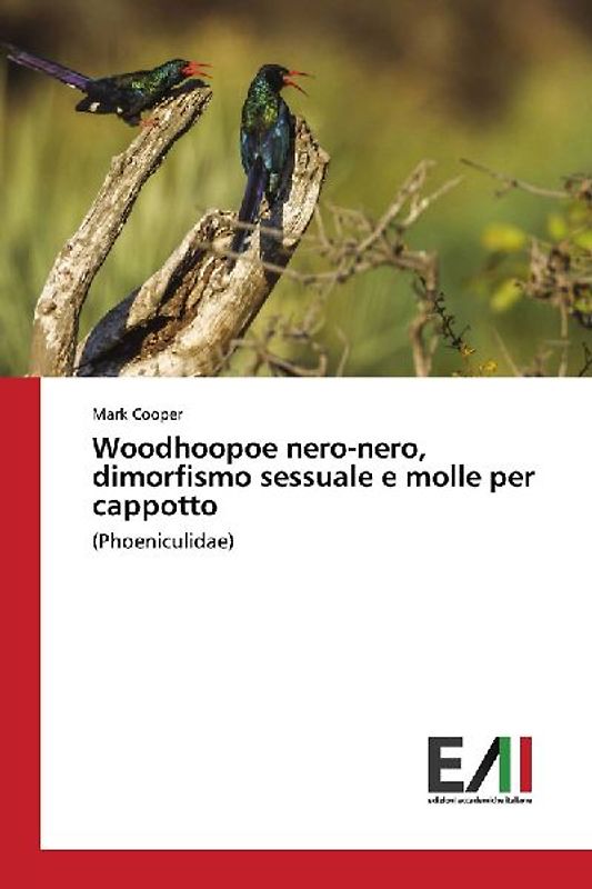 Woodhoopoe nero-nero, dimorfismo sessuale e molle per cappotto
