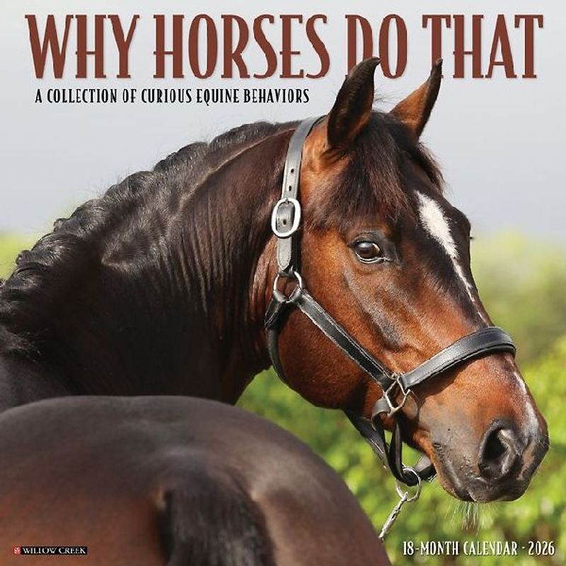 Why Horses Do That 2026 12 X 12 Wall Calendar