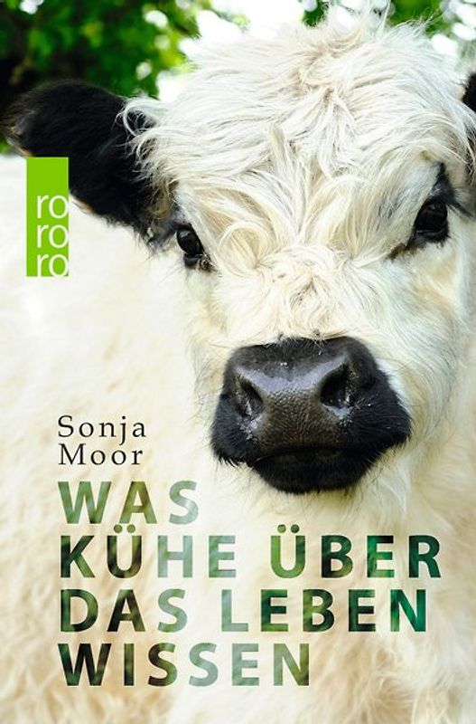 Was Kühe über das Leben wissen