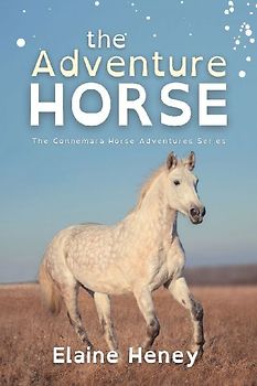 The Adventure Horse - Dyslexia Friendly