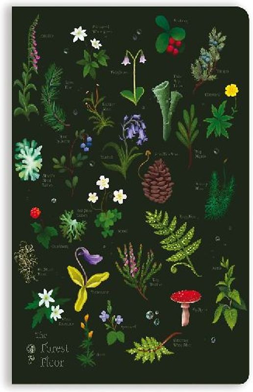 Anna Stead: The Forest Floor (Soft Touch Journal)