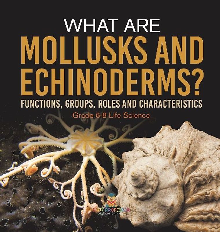 What are Mollusks and Echinoderms? Functions, Groups, Roles and Characteristics | Grade 6-8 Life Science