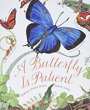 A Butterfly Is Patient