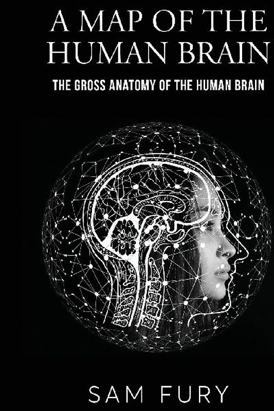 A Map of the Human Brain