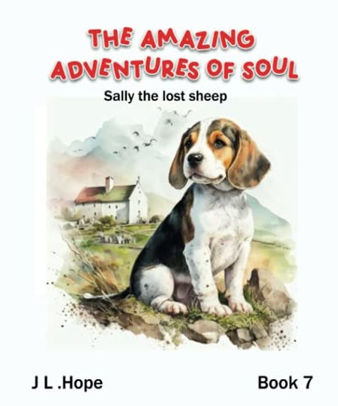 The Amazing Adventure of Soul: Sally the lost sheep (The Amazing Adventures of Soul, Band 7)