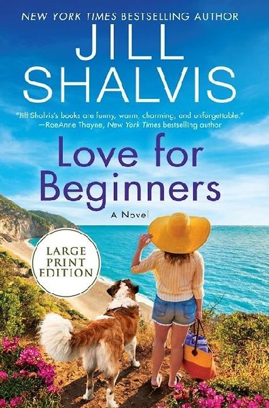 Love for Beginners LP