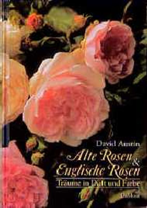 Alte Rosen und Englische Rosen