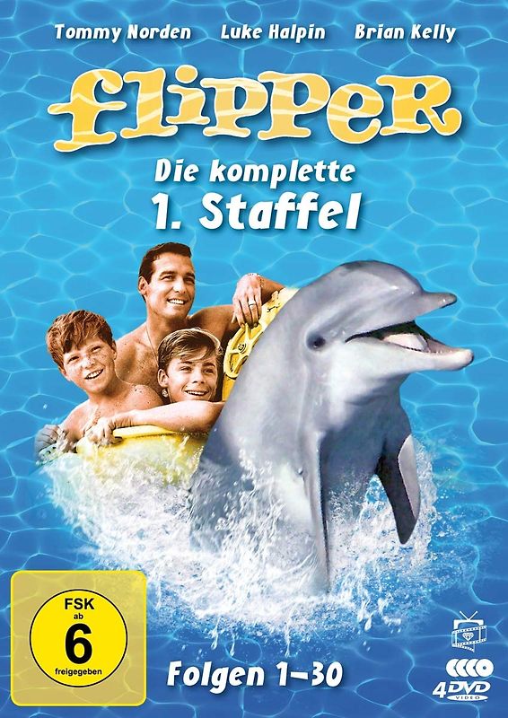 Flipper - Die komplette 1. Staffel [4 DVDs] DVD