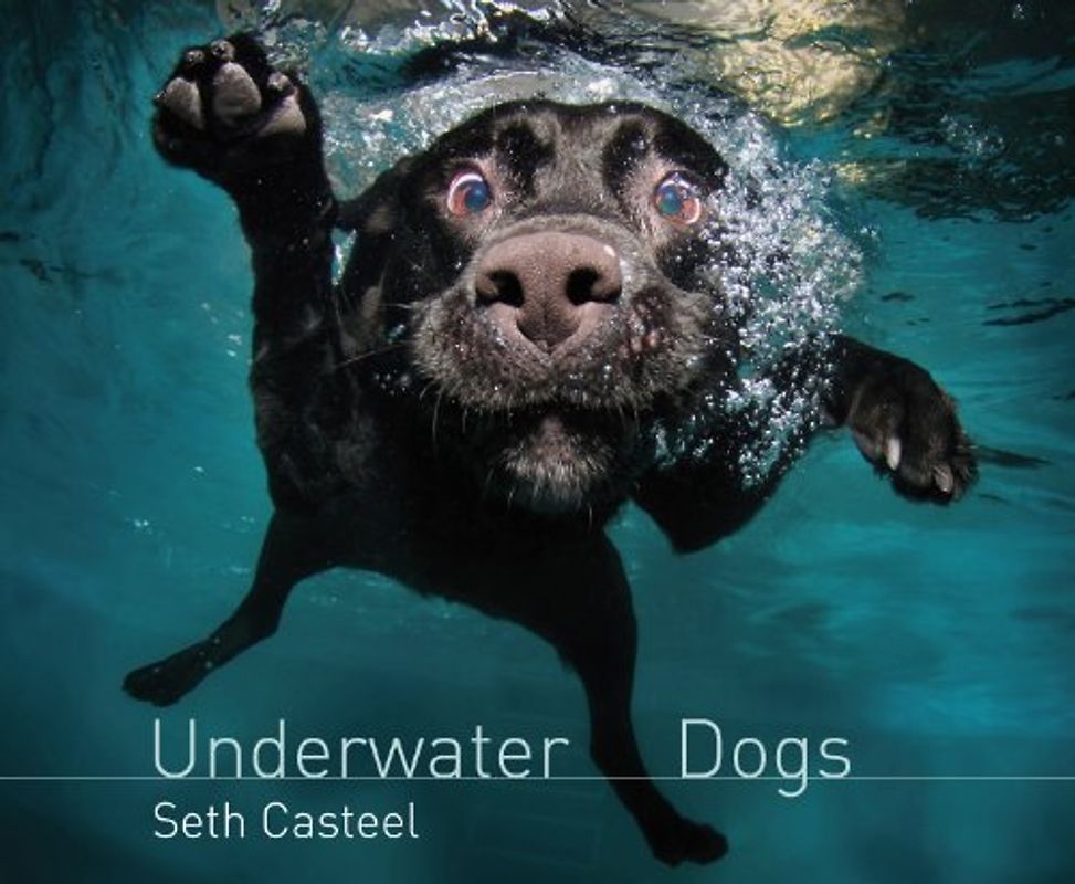 Underwater Dogs - Seth Casteel