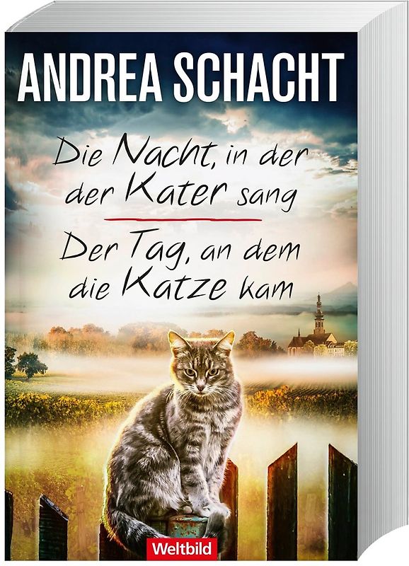 Die Nacht, in der der Kater sang / Der Tag, an dem die Katze kam - Andrea Schacht [Taschenbuch, Weltbild]