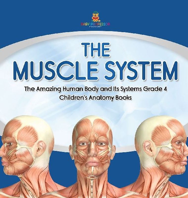 The Muscle System | The Amazing Human Body and Its Systems Grade 4 | Children's Anatomy Books