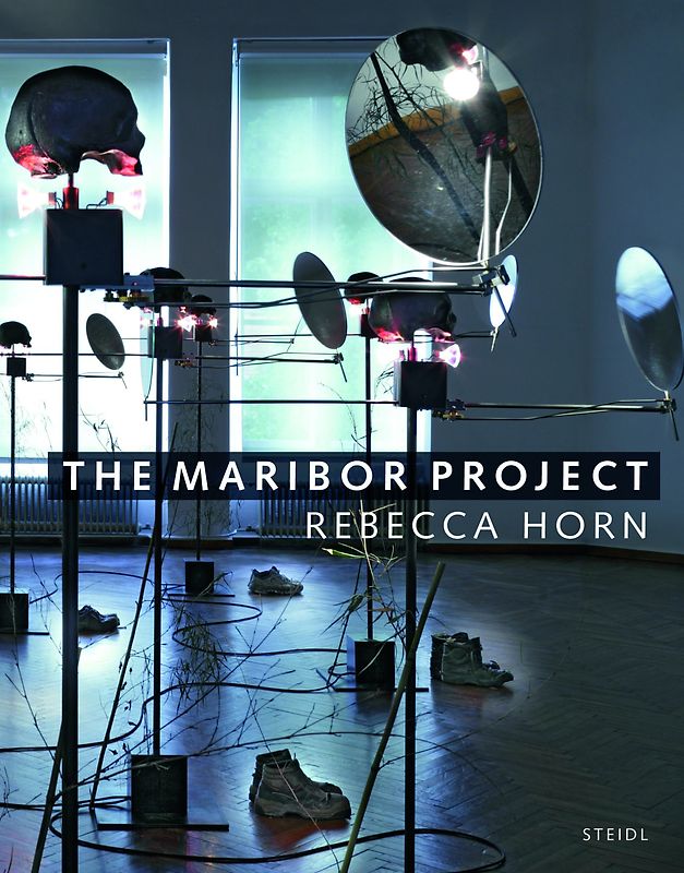 The Maribor Project
