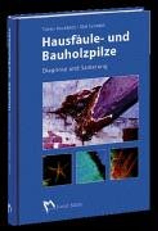 Hausfäule- und Bauholzpilze