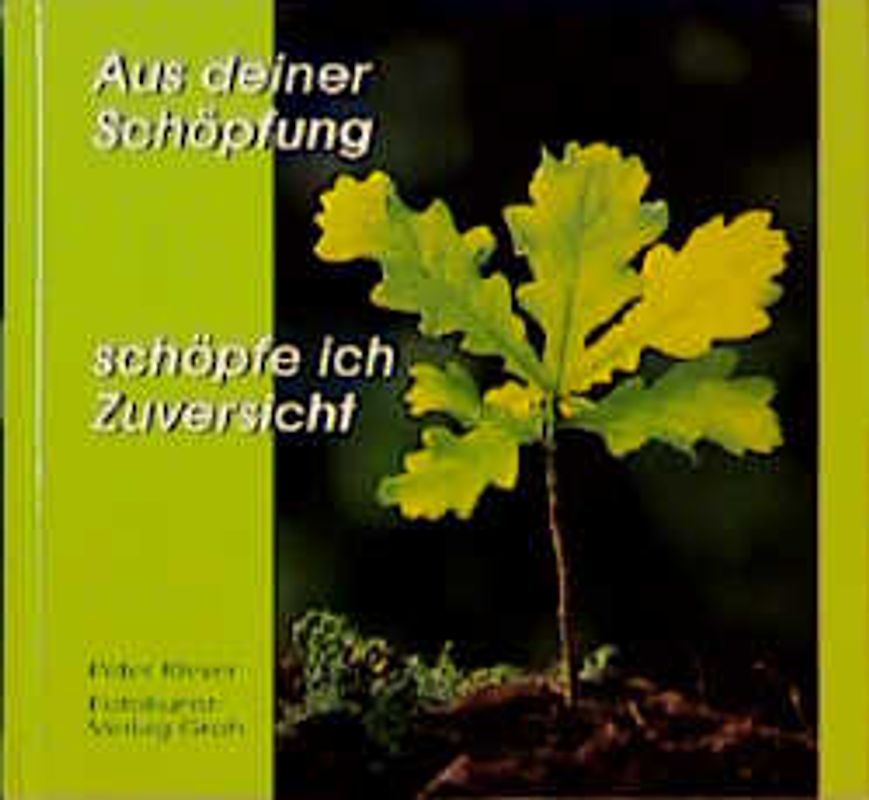 Aus deiner Schöpfung schöpfe ich Zuversicht