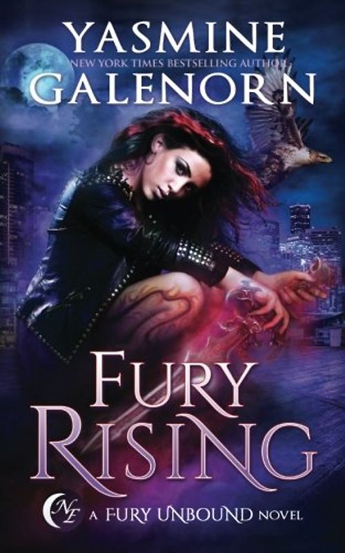 Fury Rising (Fury Unbound, Band 1)