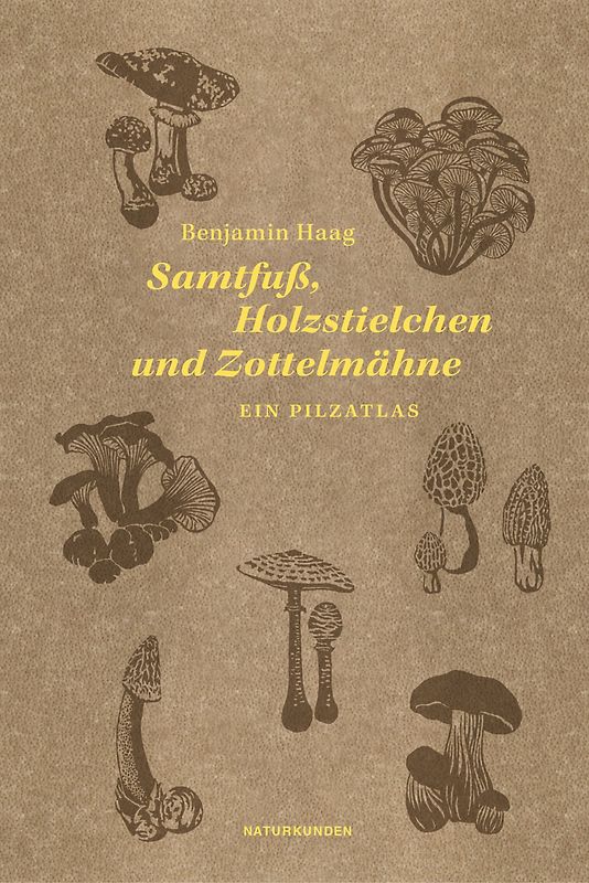 Samtfuß, Holzstielchen und Zottelmähne