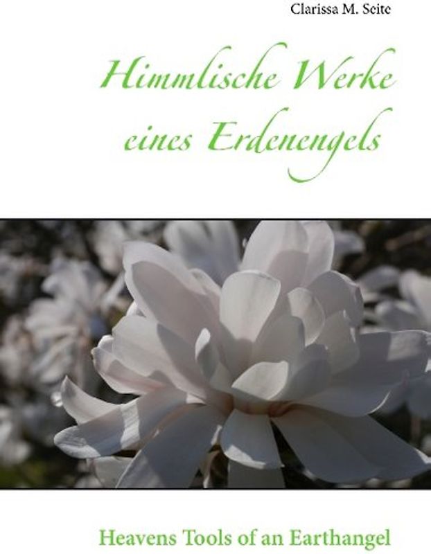 Himmlische Werke eines Erdenengels