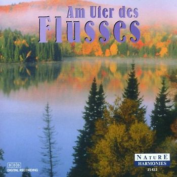 Dave & Friends Stern - Am Ufer des Flusses