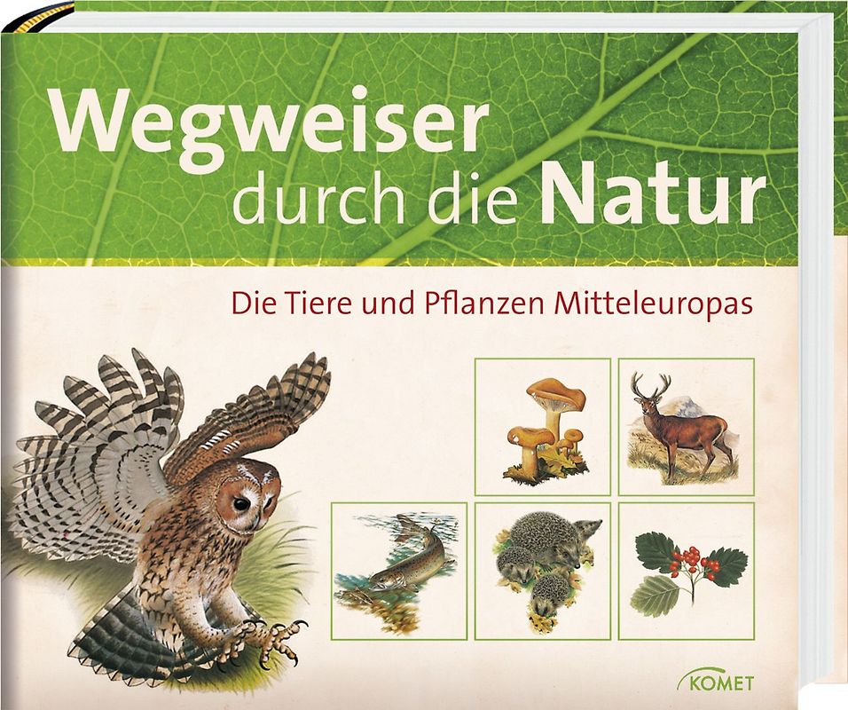Wegweiser durch die Natur