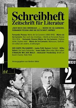 Nur noch das Irrenhaus