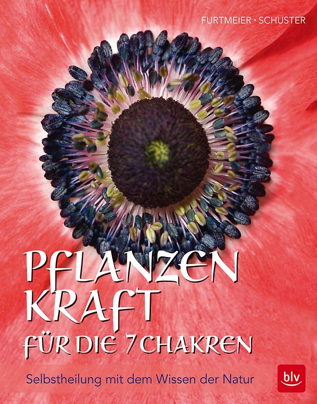 Pflanzenkraft für die 7 Chakren