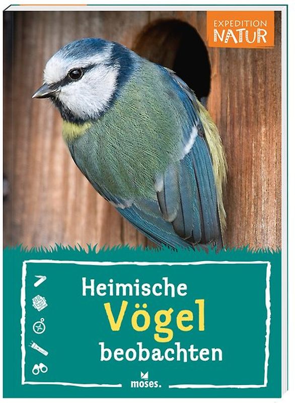 Expedition Natur: Heimische Vögel beobachten
