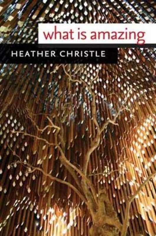 What Is Amazing (Wesleyan Poetry)