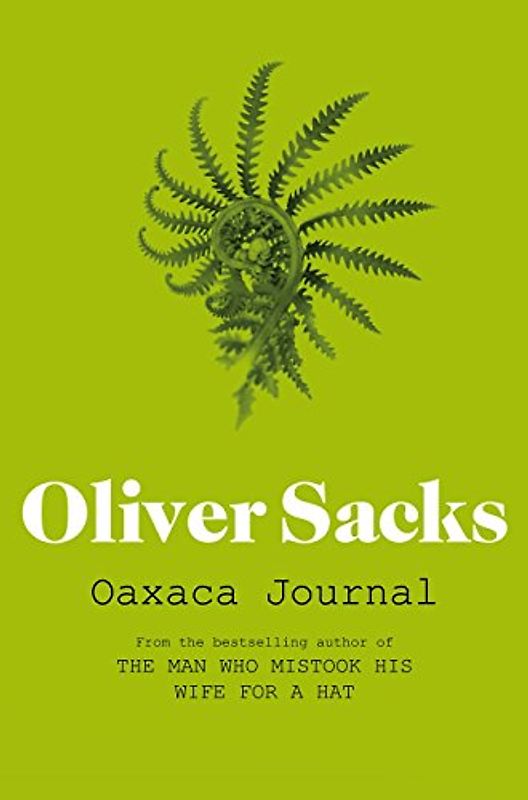 Oaxaca Journal