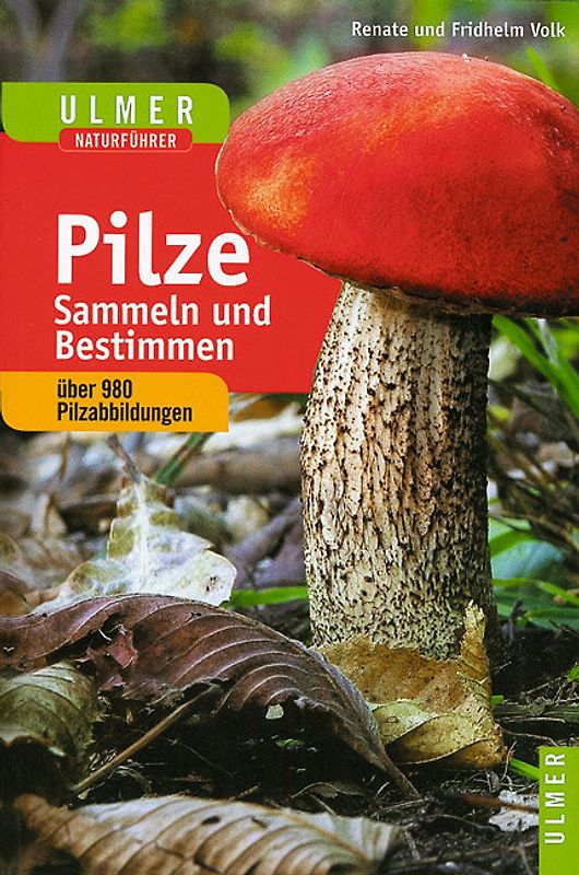 Ulmer Naturführer Pilze