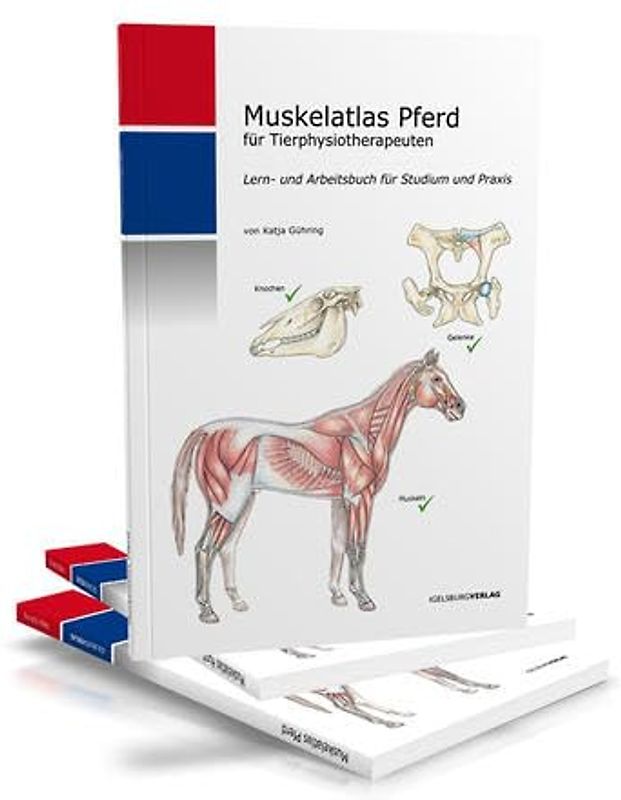 Muskelatlas Pferd (Hardcover)