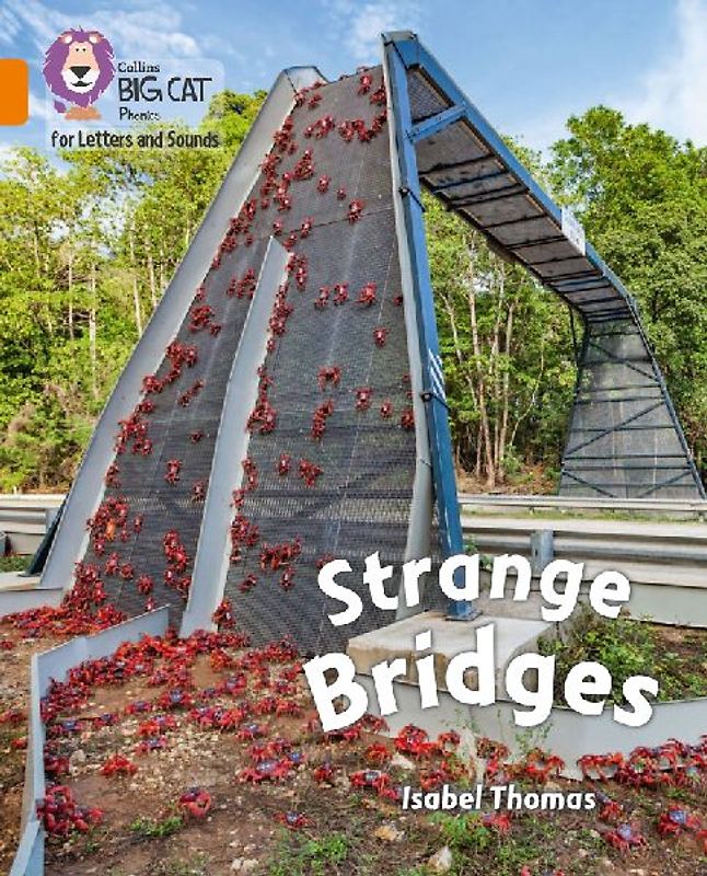 Strange Bridges