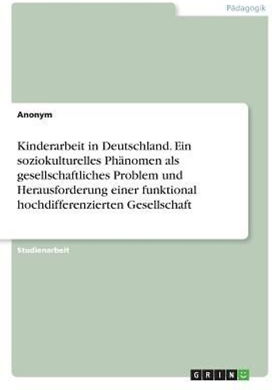 Kinderarbeit in Deutschland. Ein soziokulturelles Phänomen als gesellschaftliches Problem und Herausforderung einer funktional hochdifferenzierten Gesellschaft