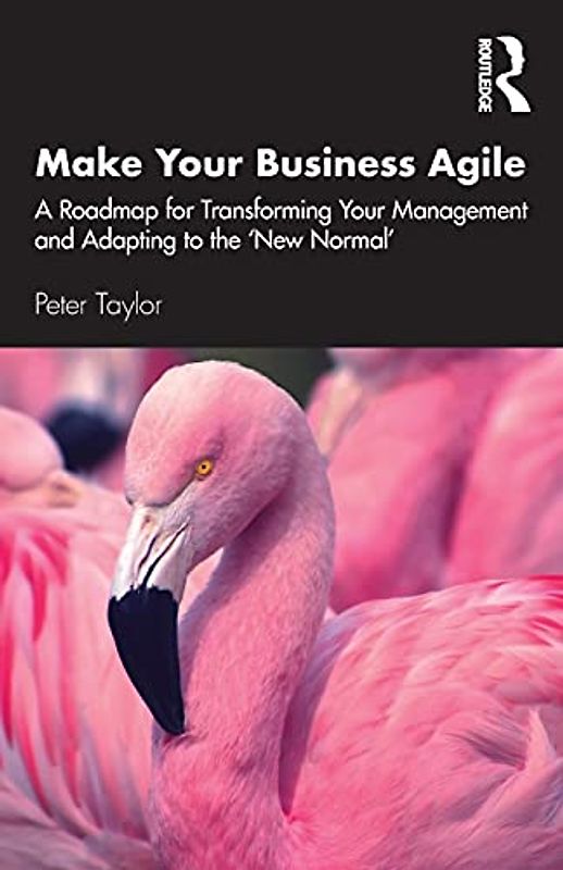Make Your Business Agile: A Roadmap for Transforming Your Management and Adapting to the Vuca Environment