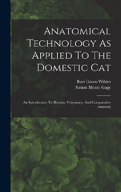 Anatomical Technology As Applied To The Domestic Cat