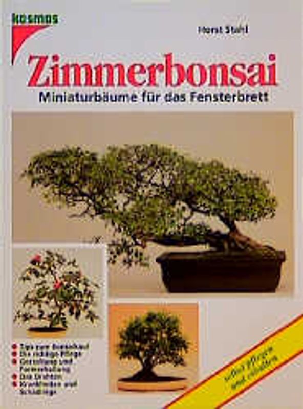 Zimmerbonsai